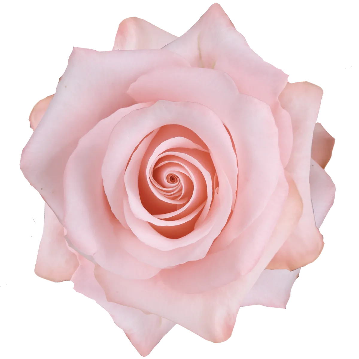 Be Sweet