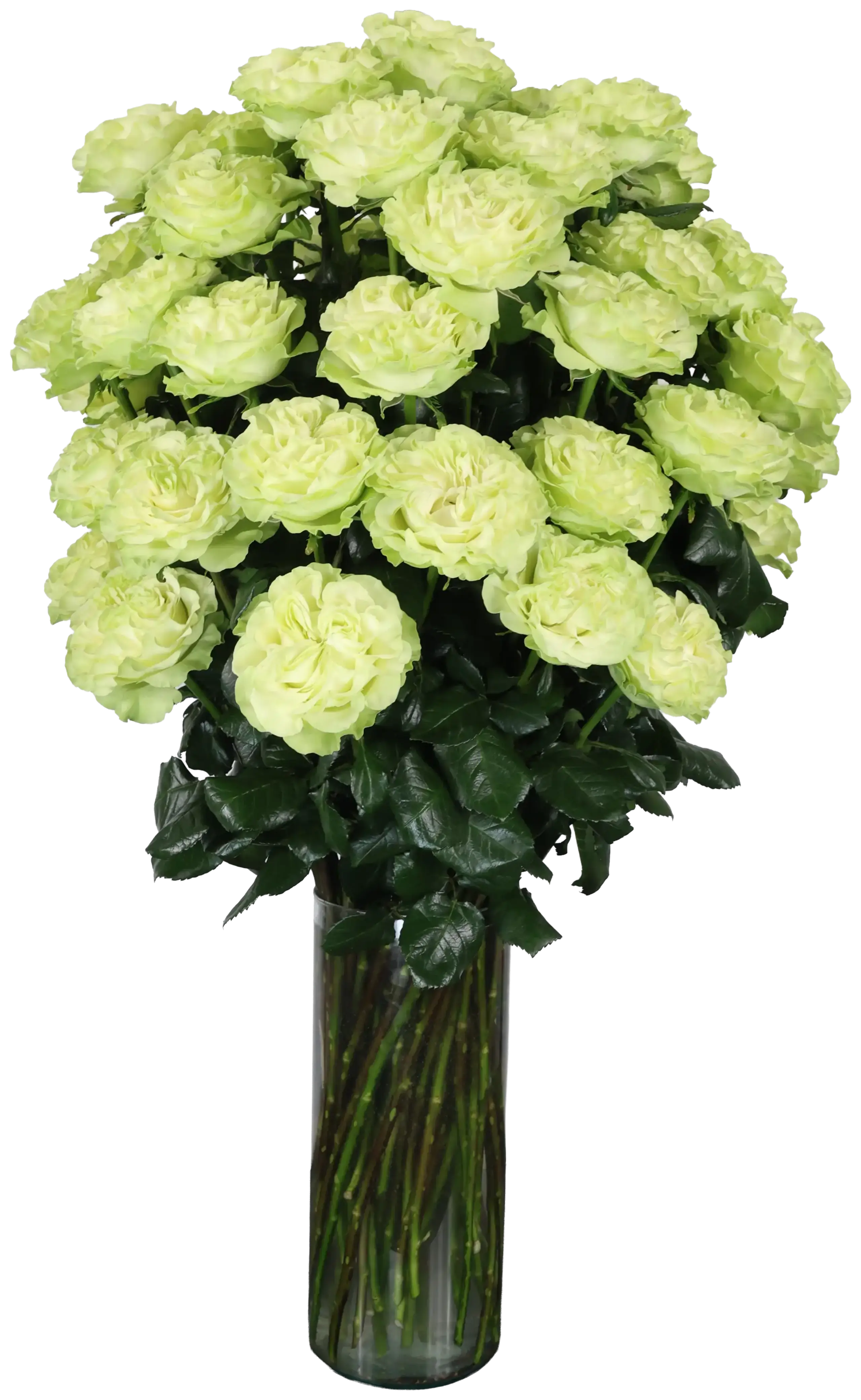 Un ramo de rosas amarillas en un florero de vidrio